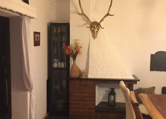 Bussard * Gammelsbach